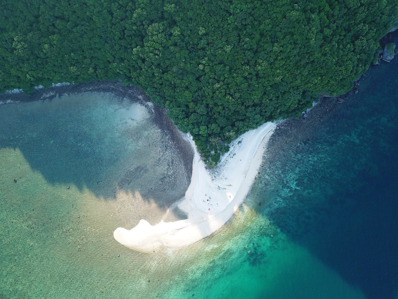 Aerial of the white coral sand spit cutting into dense green jungle and clear sea